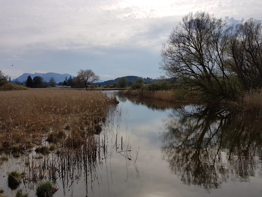 Chiemsee lake in Germany day trip in the spring, Bavarian lake, Alps in the background