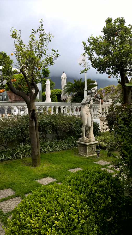 Citrus garden, lemon, orange garden, southern Italy, Sorrento