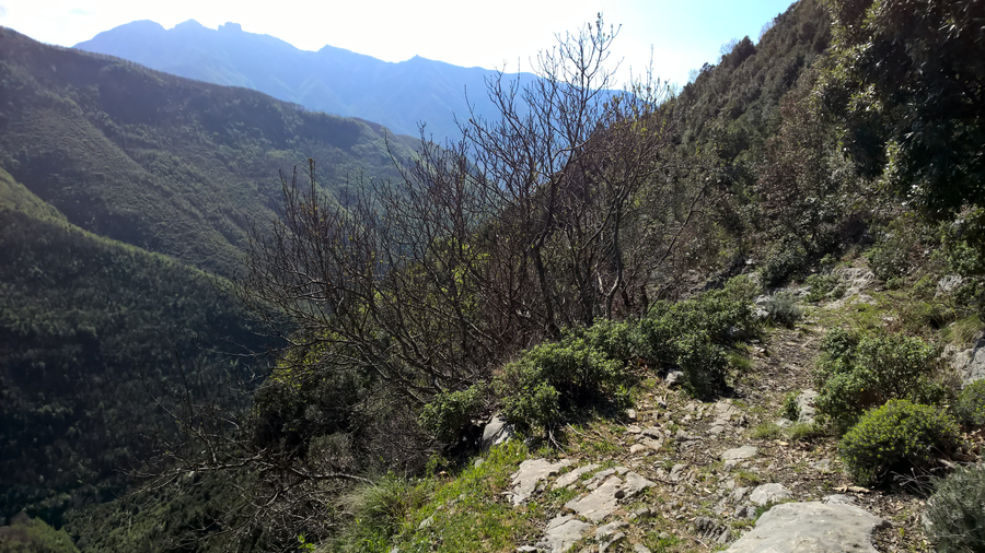 Hiking trail, hiking, spring, flora, vegetation, plants, Southern Italy, Sorrento, Amalfi, Naples bay