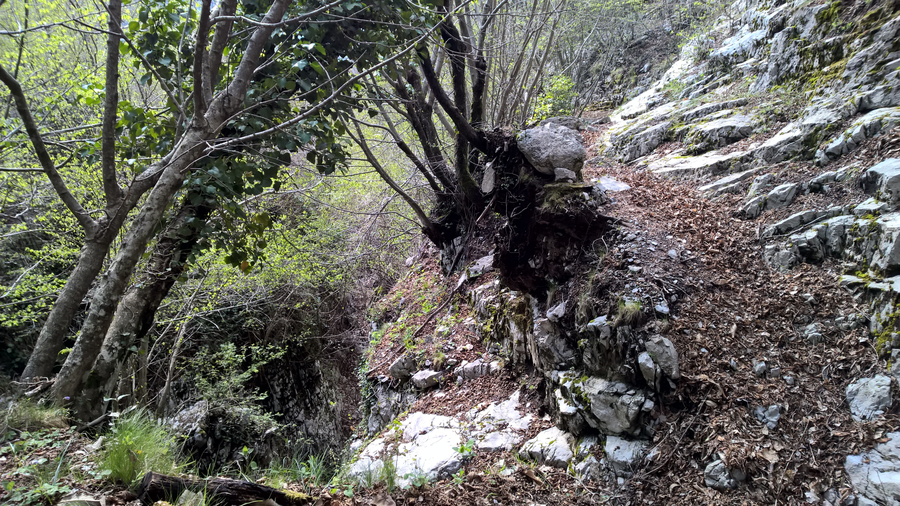hiking trail, hiking, spring, flora, vegetation, plants, Southern Italy, Sorrento, Amalfi, Naples bay, rocks, Vesuvio volcano