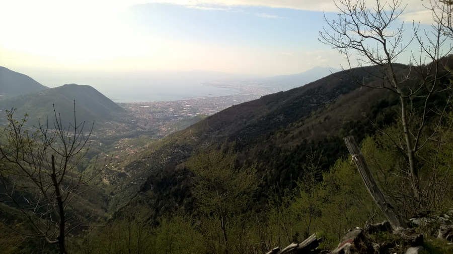 hiking trail, hiking, spring, flora, vegetation, plants, Southern Italy, Sorrento, Amalfi, Naples bay, rocks, Vesuvio volcano