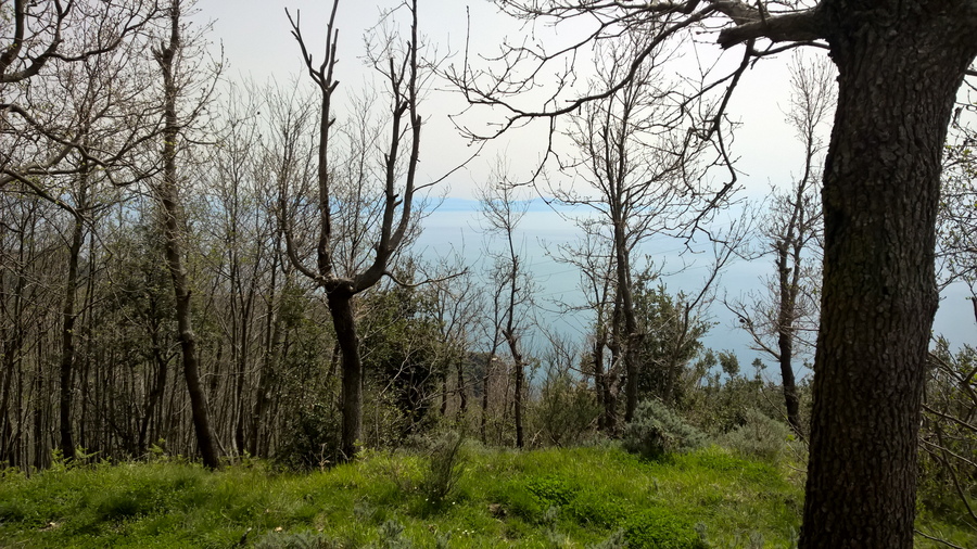 Amalfi, Bomerano, hiking, Sorrento, Italy