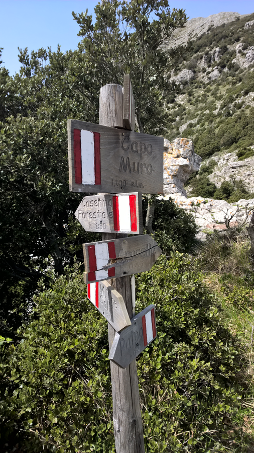 Hiking Amalfi coast, Bomerano, Sorrento, Italy, hiking trail, trekking, views, Tre Calli