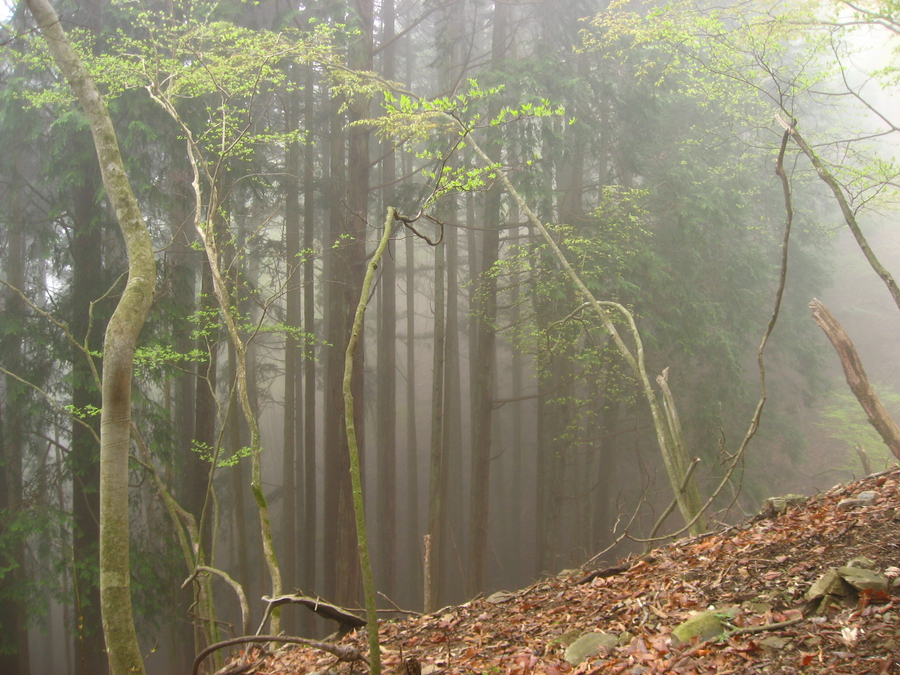 Chichibu-Tama-Kai national park near Tokyo, spring, hiking, Japan