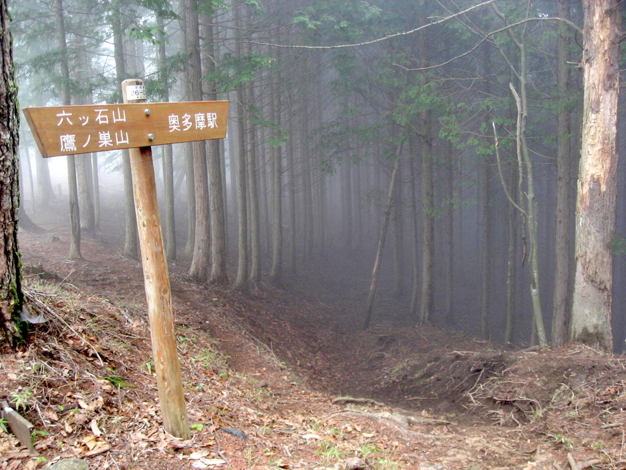 Chichibu-Tama-Kai national park near Tokyo, spring, hiking, Japan, hiking trail, forest, signs
