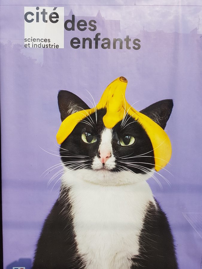 French poster, cat with banana peel, cat poster
