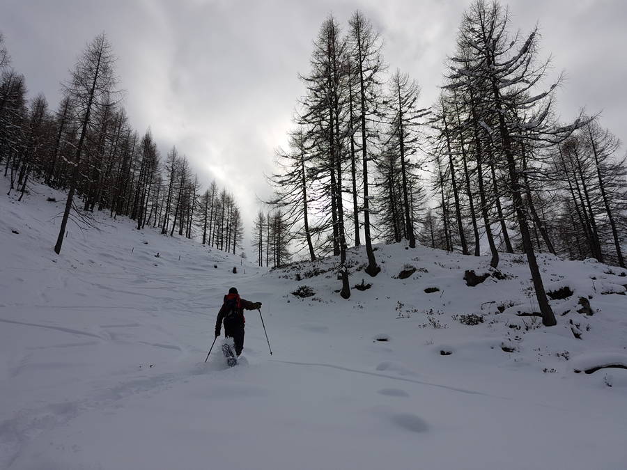 Snowshoeing in Aurina Valley, South Tyrol, South Tyrol snowshoeing
