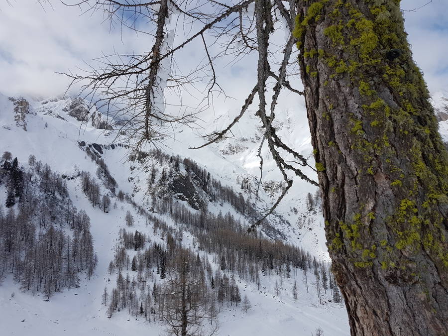 Snowshoeing in Aurina Valley, South Tyrol, South Tyrol snowshoeing, snapographi blog